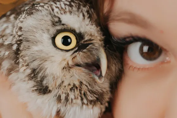 Casino Lucky Tiger Assistance